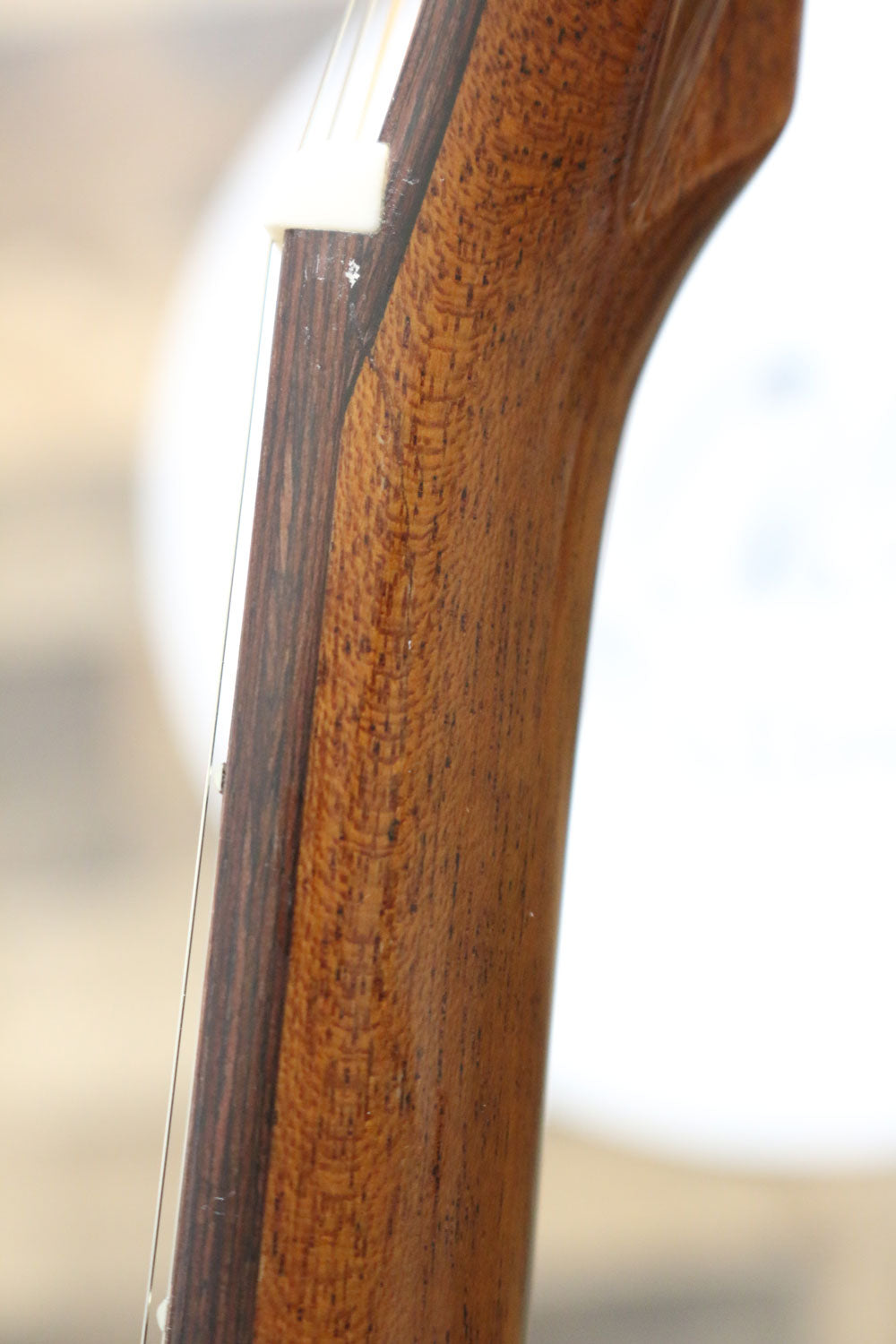 Zaar with Scars - Z690E (#161)